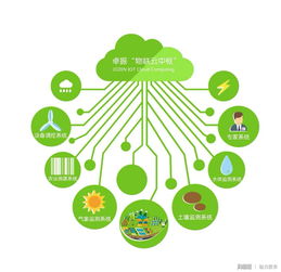 物聯(lián)網(wǎng)技術(shù)下的煙臺(tái)大櫻桃 智慧農(nóng)業(yè)的甜蜜革命